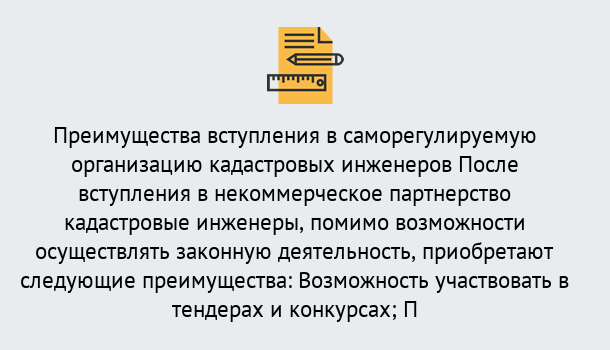 Почему нужно обратиться к нам? Новоалтайск Что дает допуск СРО кадастровых инженеров?