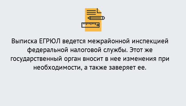 Почему нужно обратиться к нам? Новоалтайск Выписка ЕГРЮЛ в Новоалтайск ?