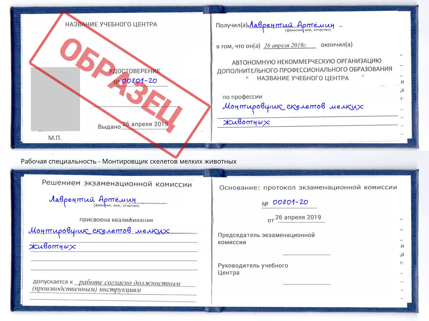 Монтировщик скелетов мелких животных Новоалтайск