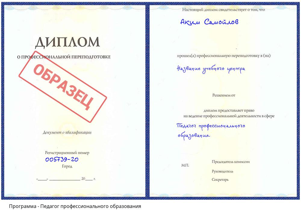 Педагог профессионального образования Новоалтайск