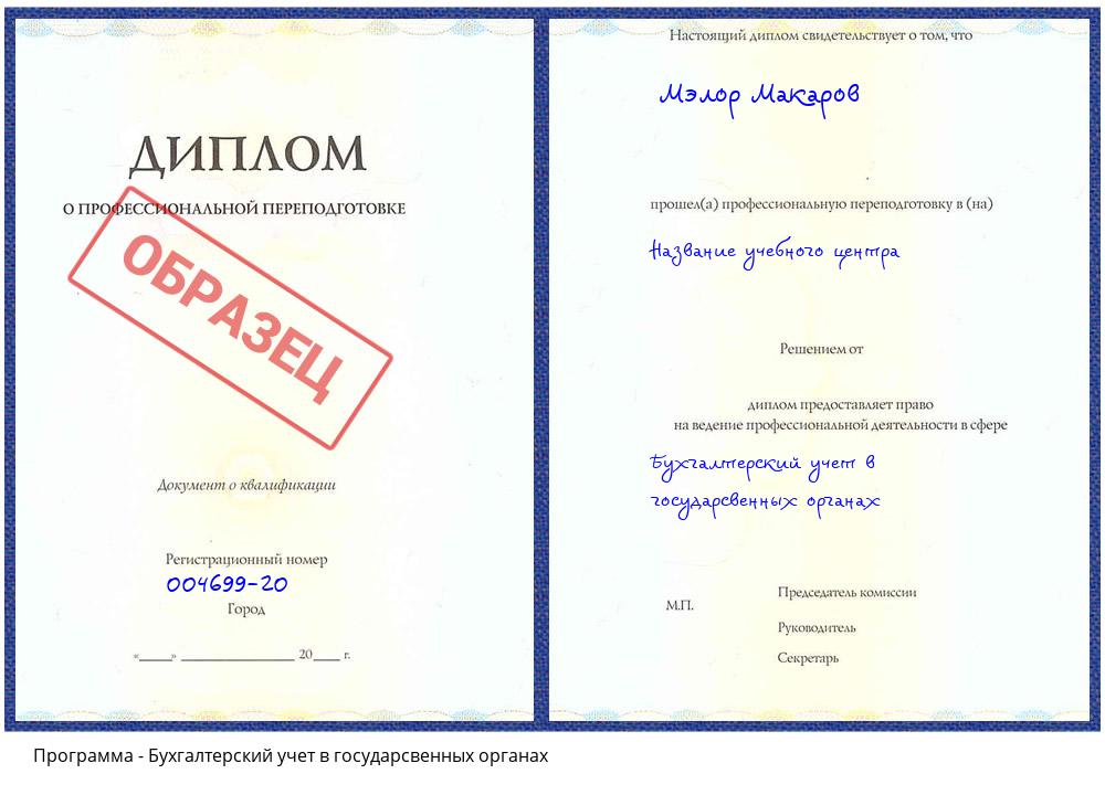 Бухгалтерский учет в государсвенных органах Новоалтайск