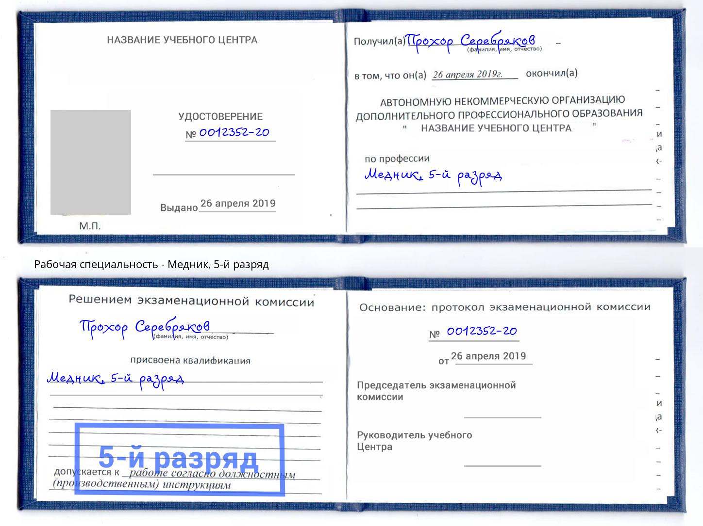корочка 5-й разряд Медник Новоалтайск
